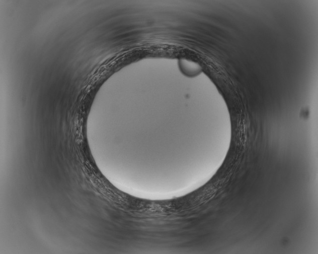 X0000115311013200911301531