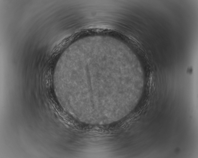 X0000115311014200911301531