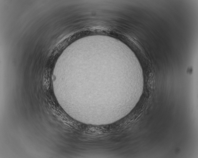 X0000115311015200911301531