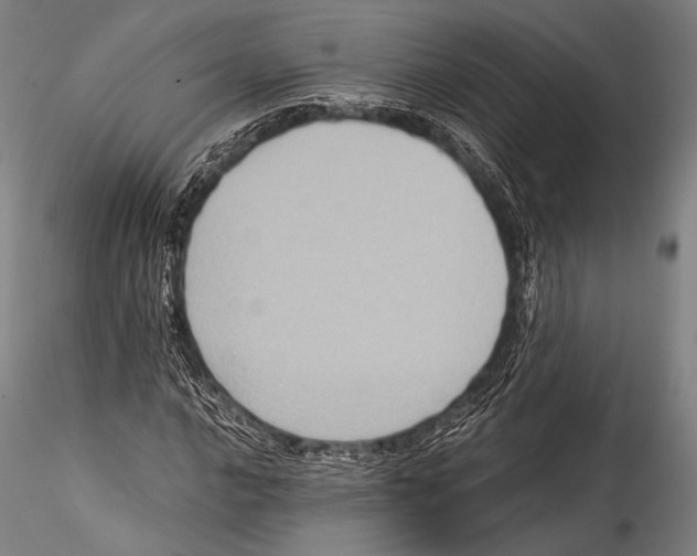 X0000115311016200911301531