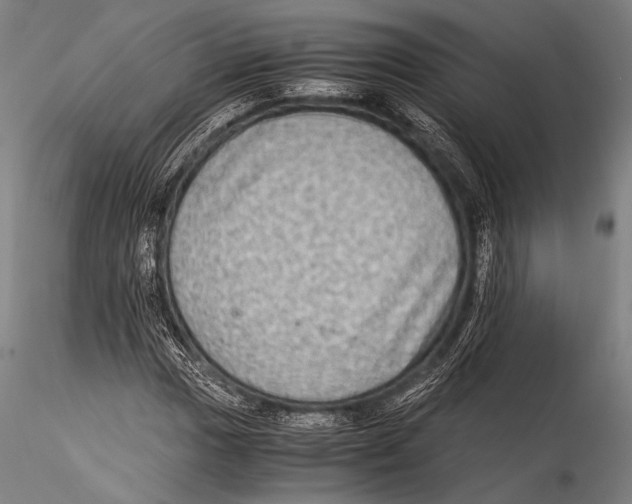 X0000115311017200911301531