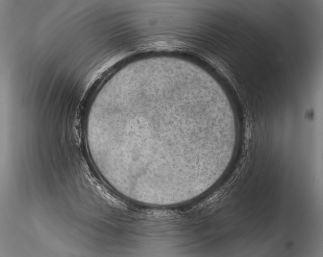 X0000115311018200911301531