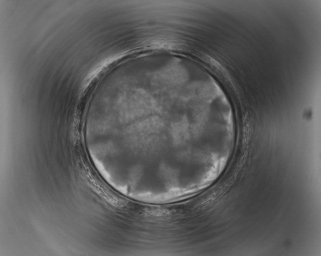 X0000115311019200911301531