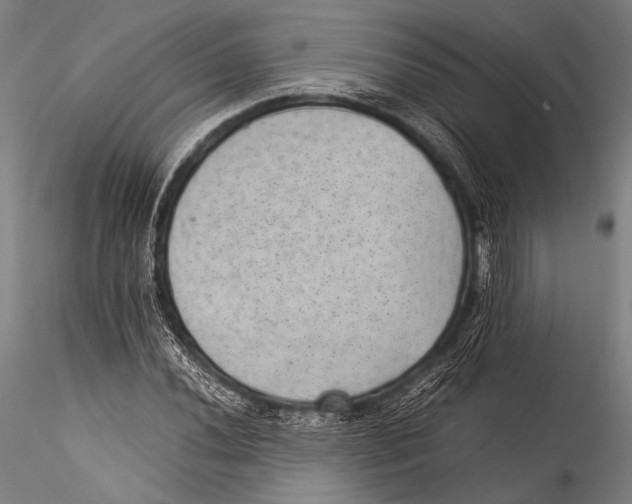 X0000115311020200911301531