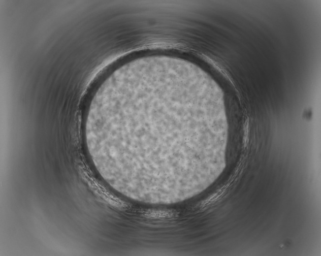 X0000115311021200911301531