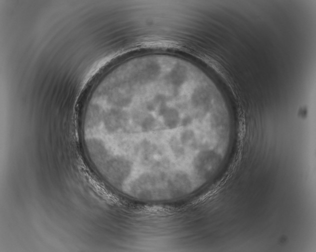 X0000115311022200911301531