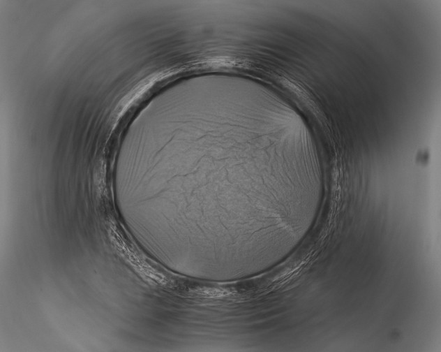 X0000115311023200911301531