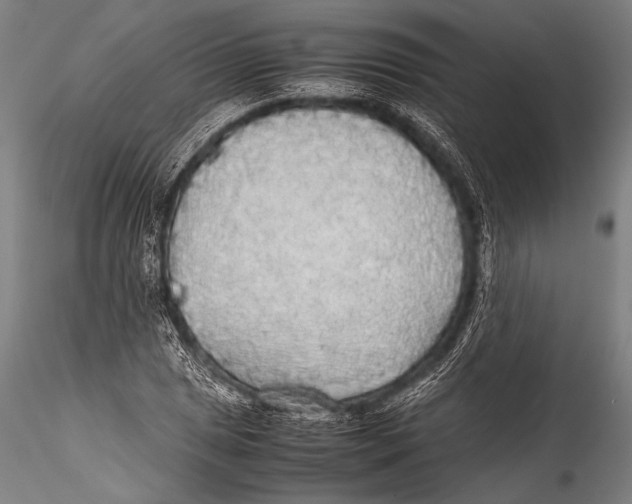 X0000115311025200911301531