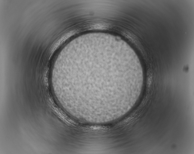 X0000115311026200911301531