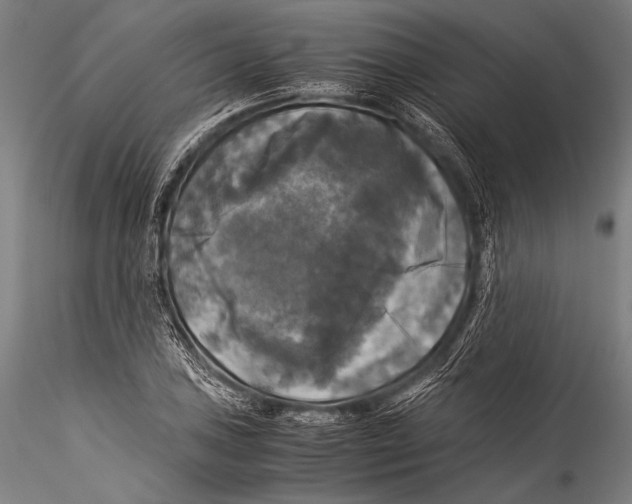 X0000115311027200911301531