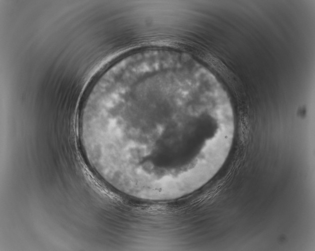 X0000115311028200911301531