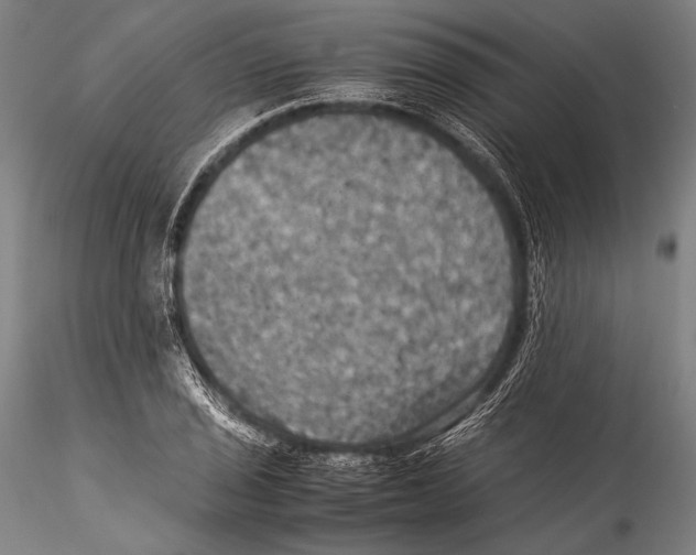 X0000115311029200911301531