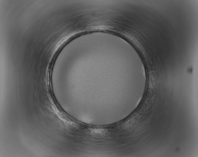 X0000115311031200911301531