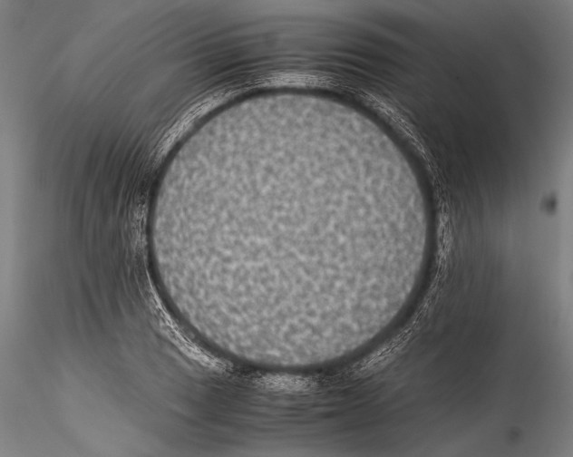 X0000115311033200911301531