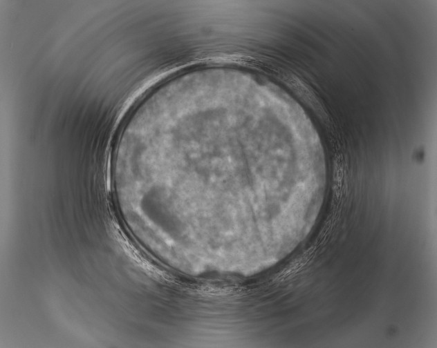 X0000115311036200911301531