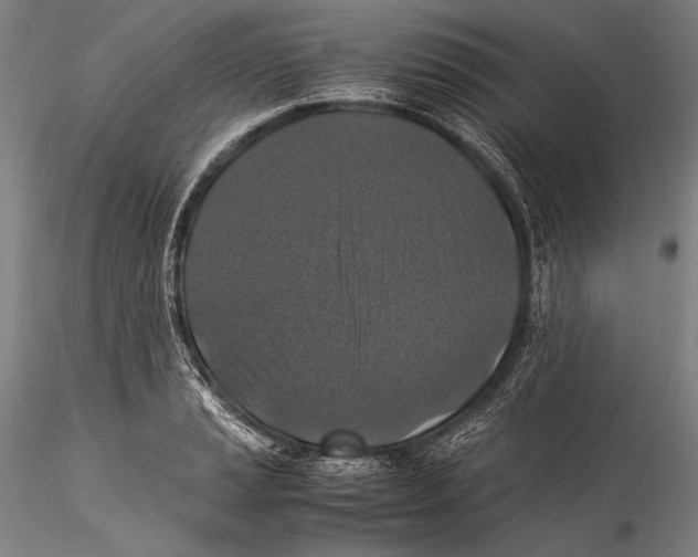 X0000115311037200911301531