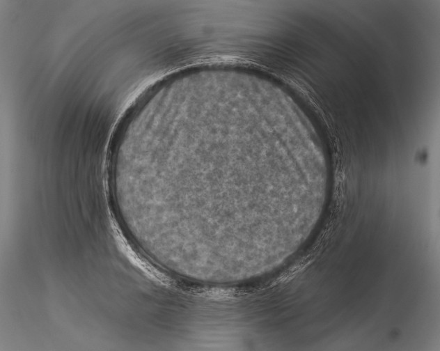 X0000115311038200911301531