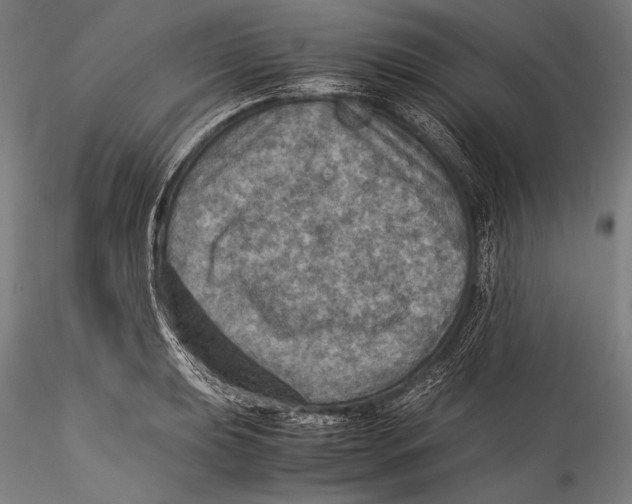 X0000115311039200911301531