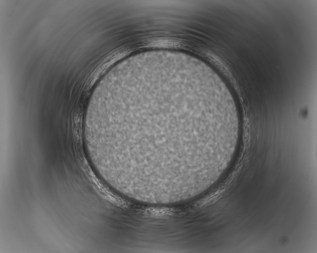 X0000115311041200911301531