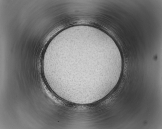 X0000115311042200911301531