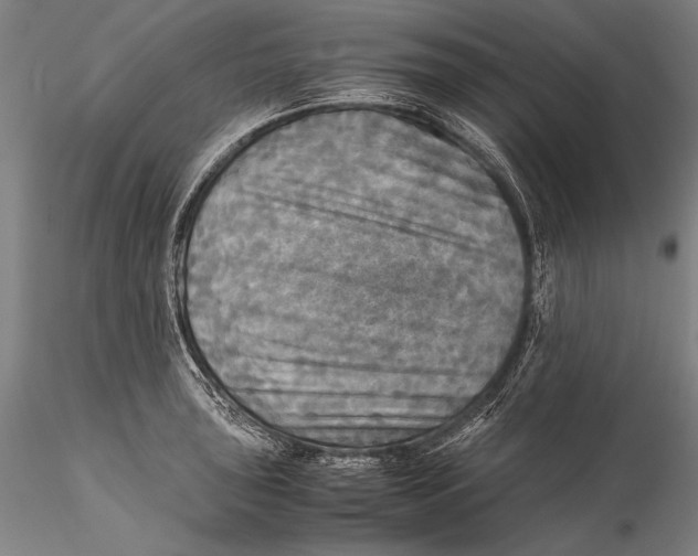 X0000115311043200911301531