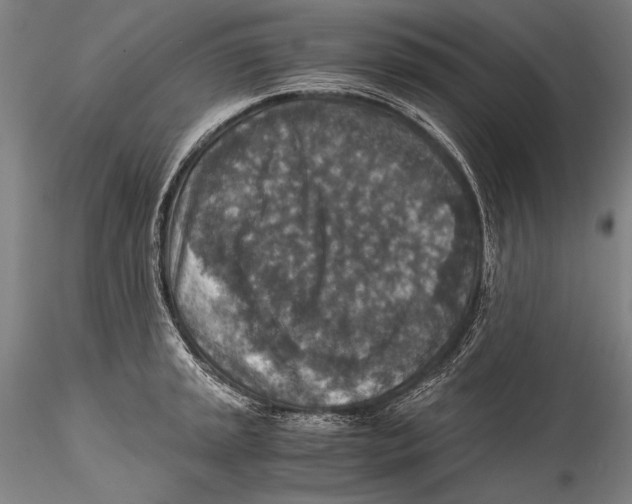 X0000115311045200911301531