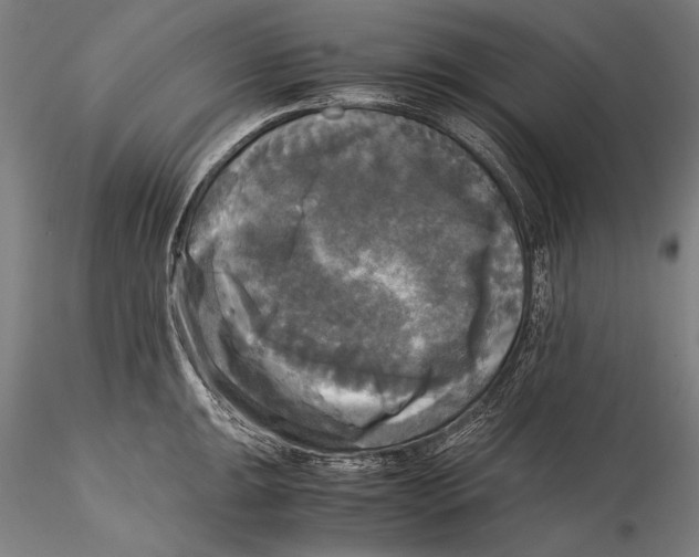 X0000115311047200911301531