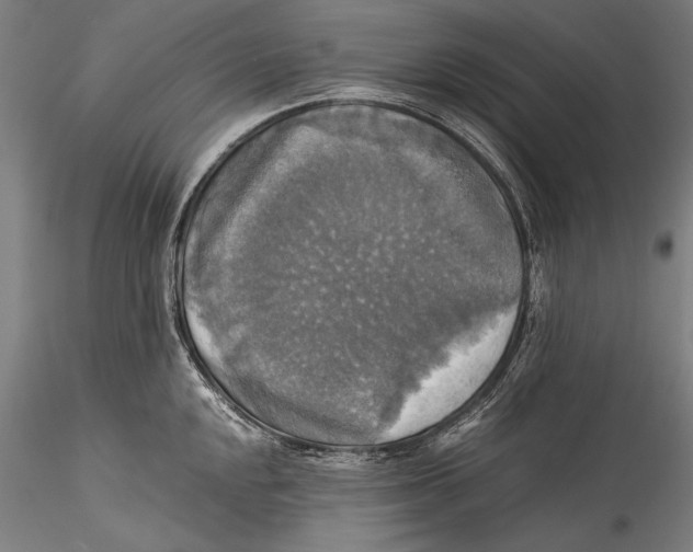 X0000115311048200911301531