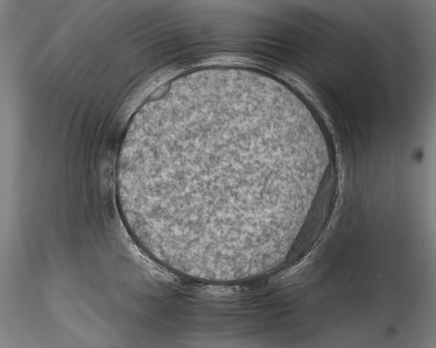 X0000115311049200911301531