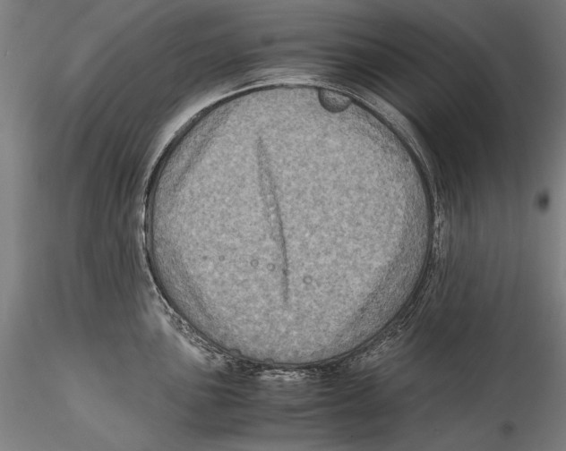 X0000115311051200911301531