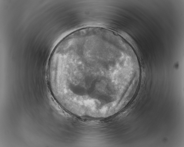 X0000115311052200911301531