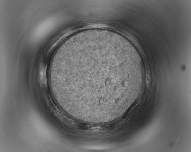 X0000115311054200911301531