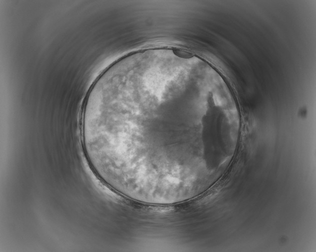 X0000115311055200911301531