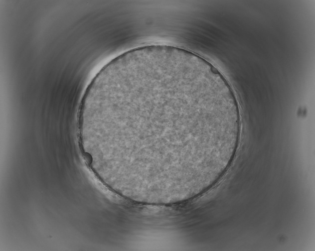 X0000115311056200911301531