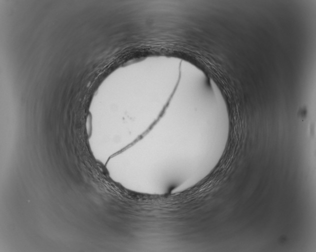 X0000115311057200911301530