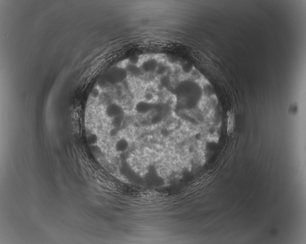 X0000115311059200911301530