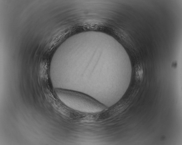 X0000115311060200911301530