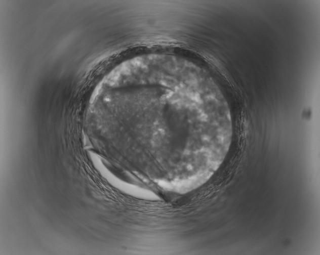 X0000115311063200911301530