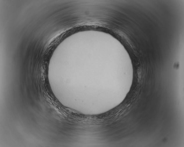 X0000115311064200911301530