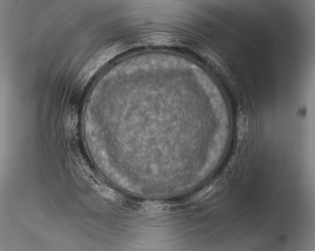 X0000115311065200911301530