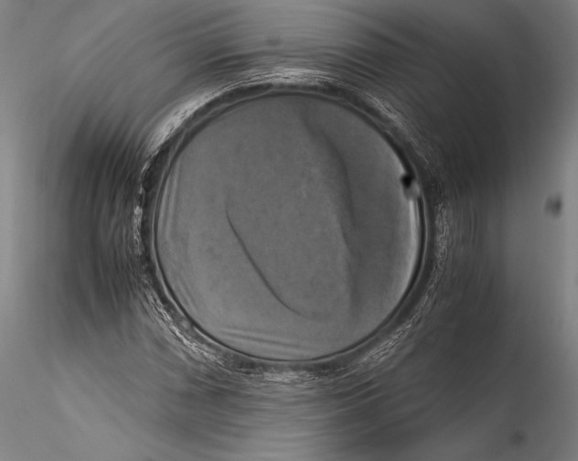 X0000115311066200911301530