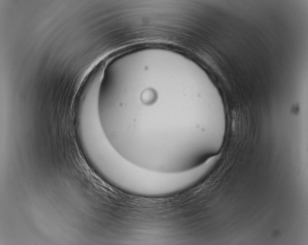 X0000115311068200911301530