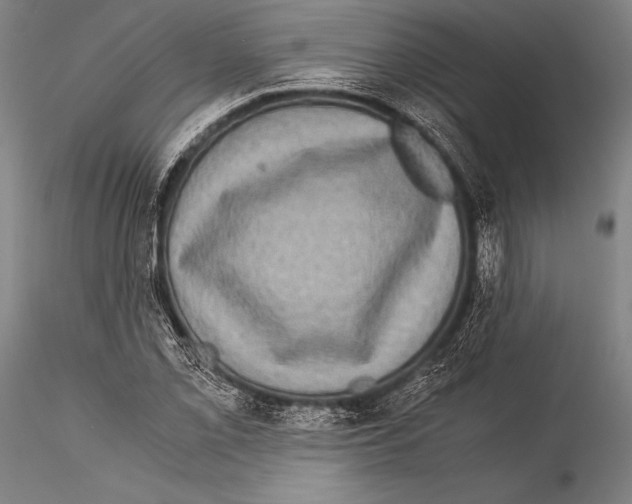 X0000115311069200911301530