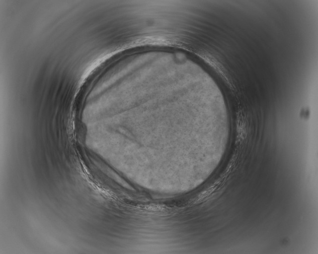 X0000115311070200911301530