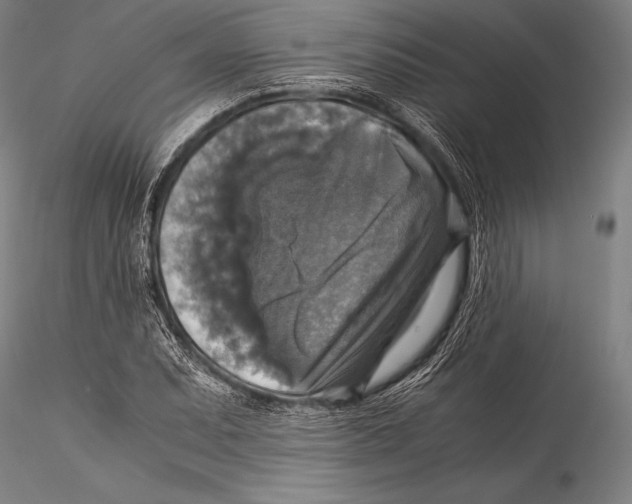 X0000115311071200911301530