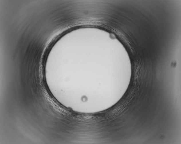 X0000115311072200911301530