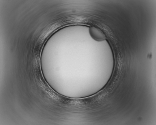 X0000115311073200911301530