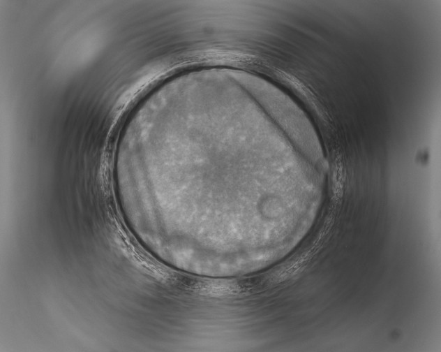 X0000115311074200911301530