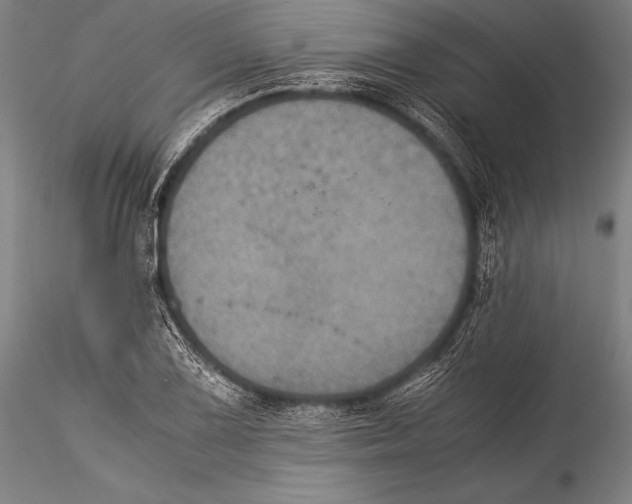 X0000115311075200911301530