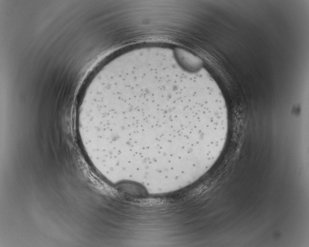 X0000115311076200911301530